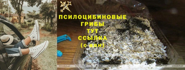 мдпв Нефтекумск