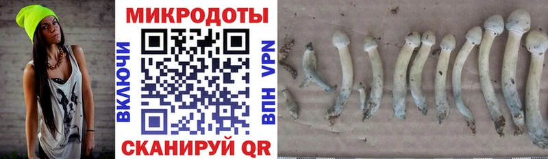 Галлюциногенные грибы Psilocybine cubensis  hydra рабочий сайт  Нахабино 
